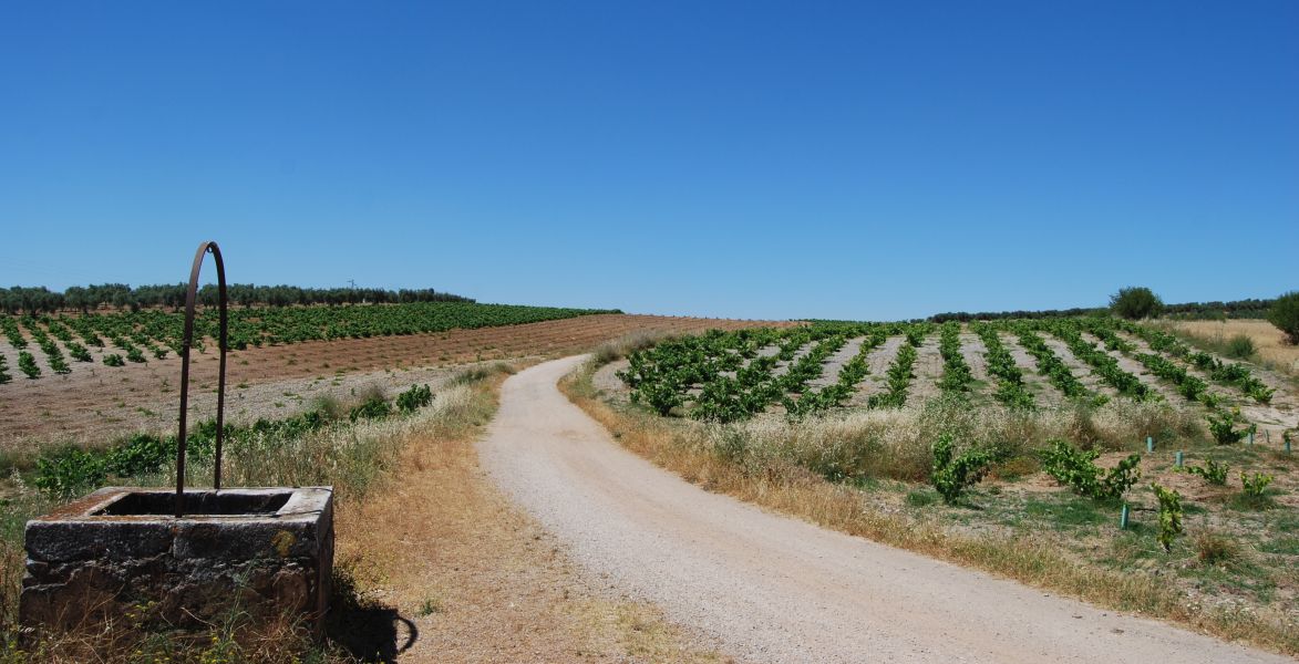 Sevillai túra - Pilgino