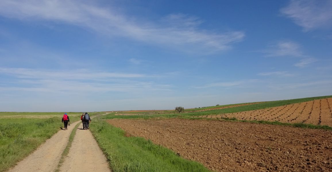 Sevillai túra - Pilgino