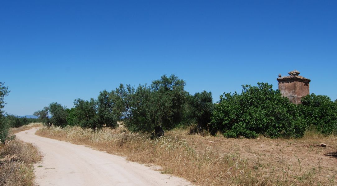 Sevillai túra - Pilgino