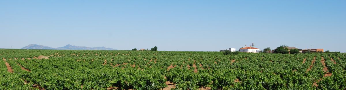 Sevillai túra - Pilgino