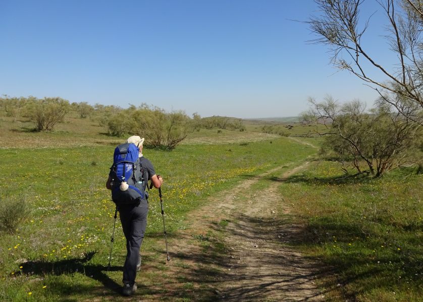Sevillai túra - Pilgino