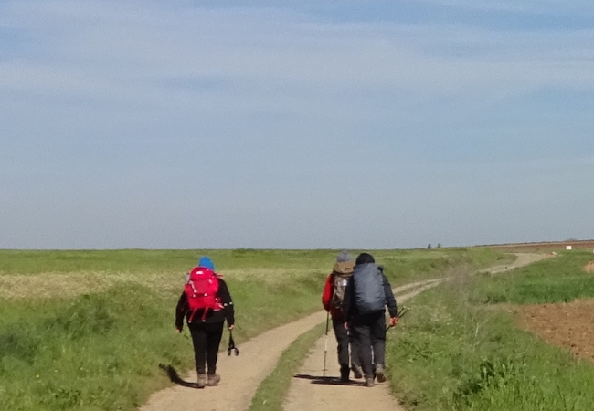 Sevillai túra - Pilgino