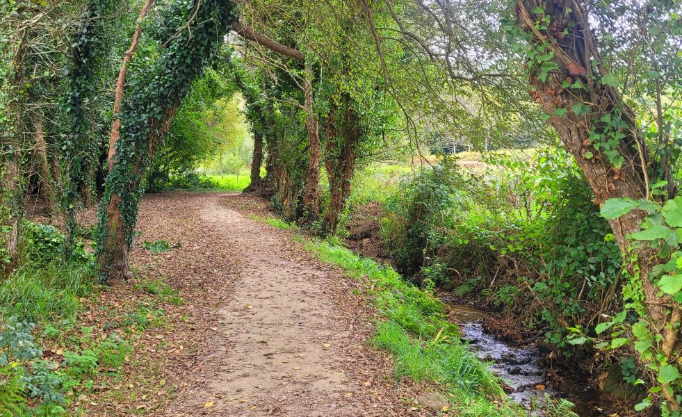 Leuchtturmroute - Camino Dos Faros - Pilgino