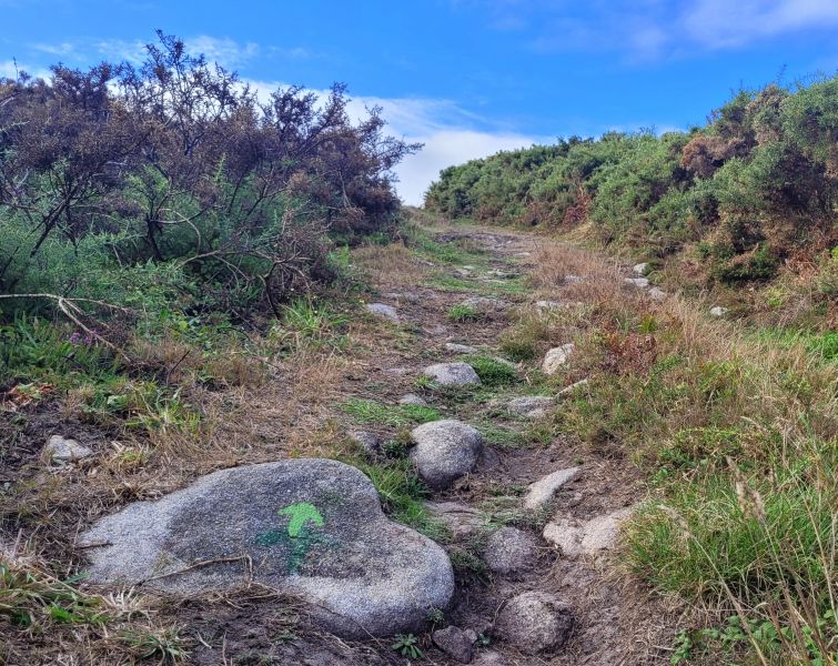 Leuchtturmroute - Camino Dos Faros - Pilgino