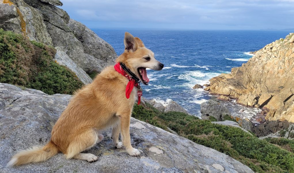 Leuchtturmroute - Camino Dos Faros - Pilgino
