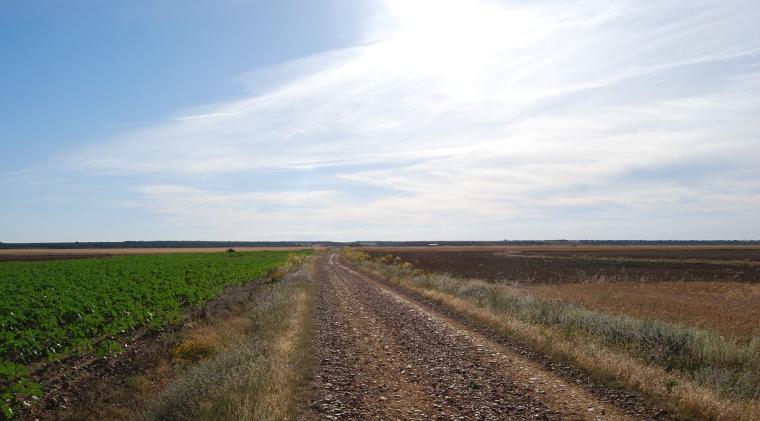 Tour 2 Burgos - Pilgino