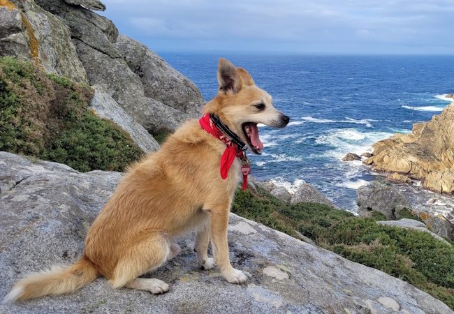 Leuchtturmroute - Camino Dos Faros - Pilgino